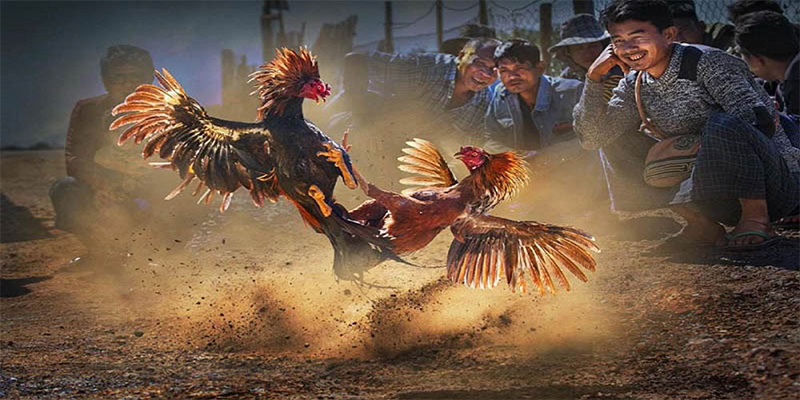 85win chơi bắn cá đổi thưởng