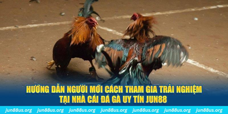 85win CQ9 Điện Tử