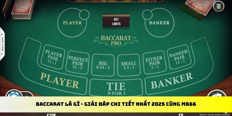 85win gà chọi cu cần