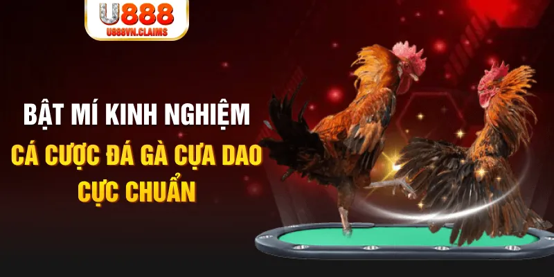 85win tỷ lệ cá cược châu á là gì