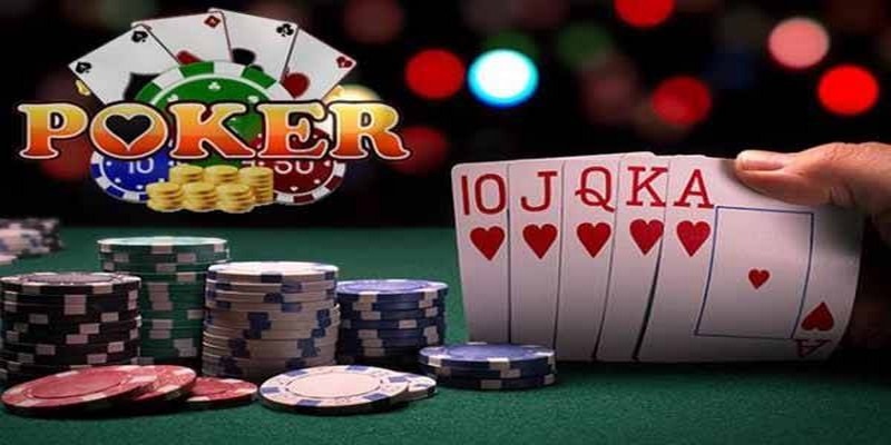 85win đá gà thomo trực tiếp
