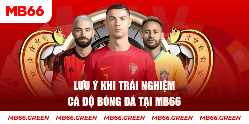 85win cá cược là gì