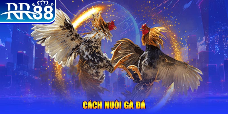 85win xổ số an giang