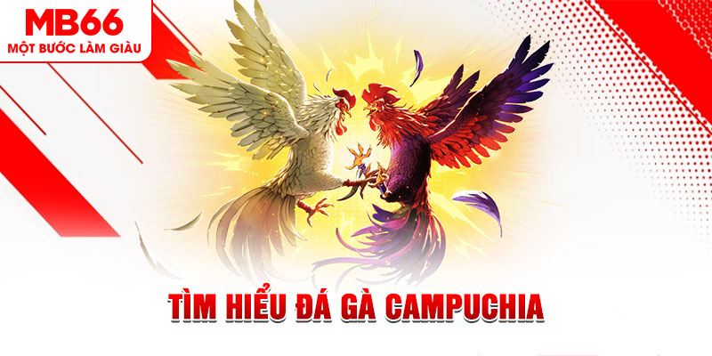 85win đá gà trực tiếp