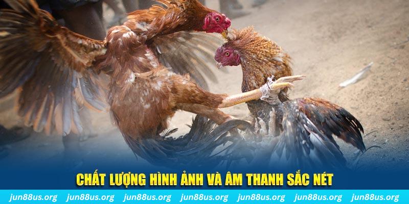 85win đăng nhập roulette live
