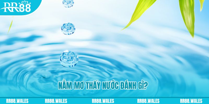 85win TP Bắn cá