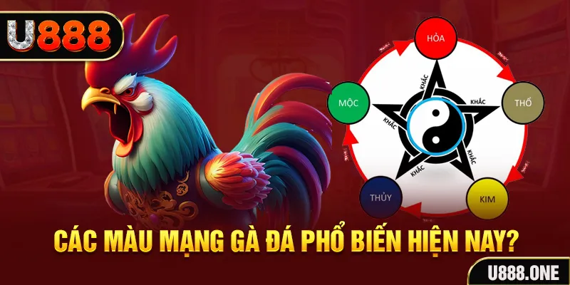 85win trực tiếp đá gà 88