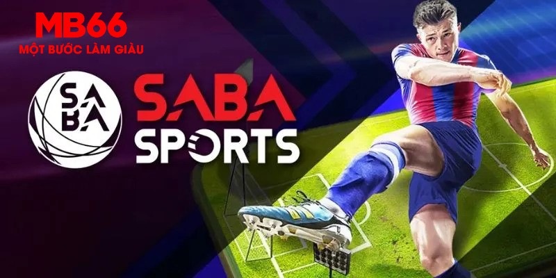 85win gà chọi c1 thomo