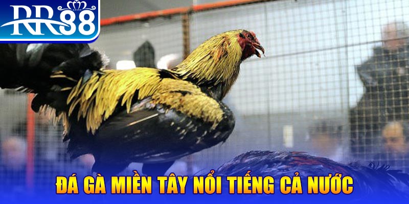85win JILI Game Bài 3d