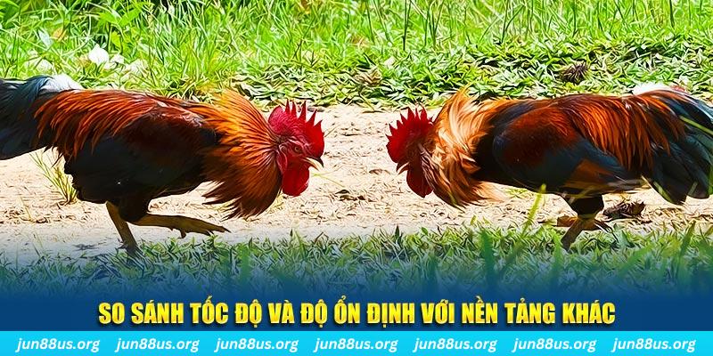 85win đá gà hôm nay
