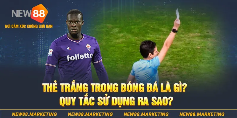 85win gà chọi mộc hóa