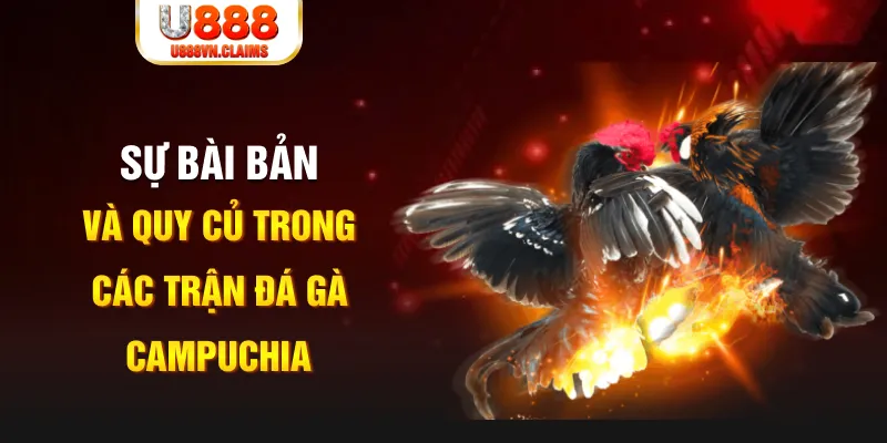 85win YGR Điện Tử