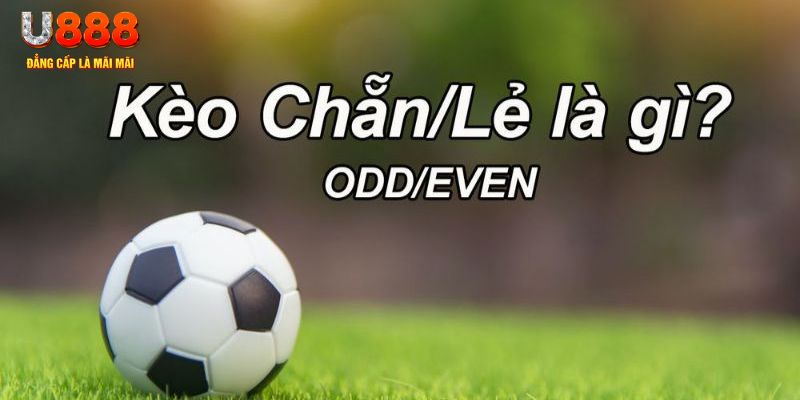 85win đăng nhập poker hôm nay