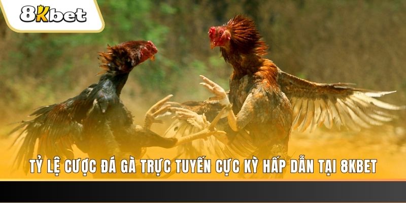 85win xổ số trực tiếp miền bắc