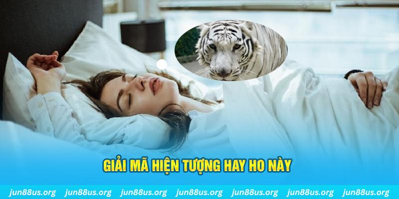 85win đăng nhập nổ hũ uy tín