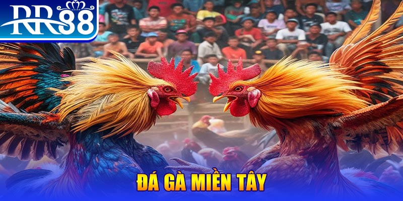 85win chơi slot là gì