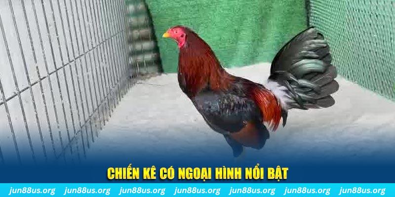 85win chạy quảng cáo cho game bài bị phạt như thế nào