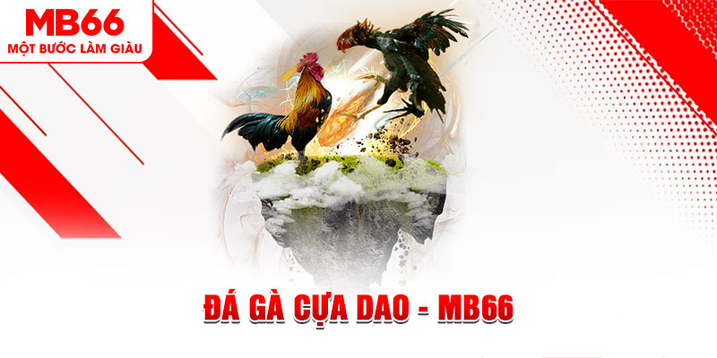 85win đá gà sv388 gold