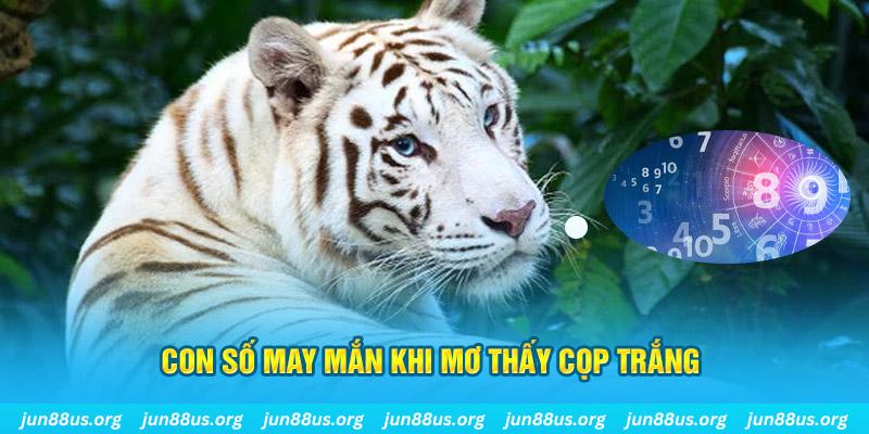 85win đá gà trực tiếp 88